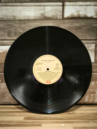 Vinilo Bon Voyage - Mondragon