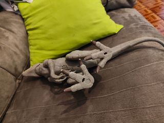 Indominus Rex Figura Dinosaurio