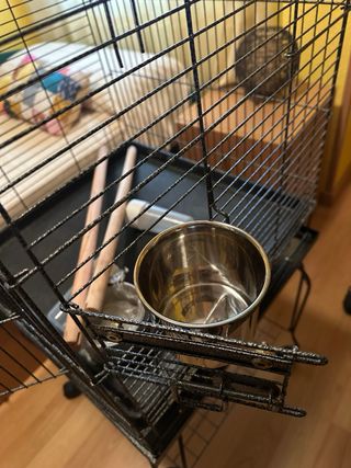 Jaula para pájaros negra