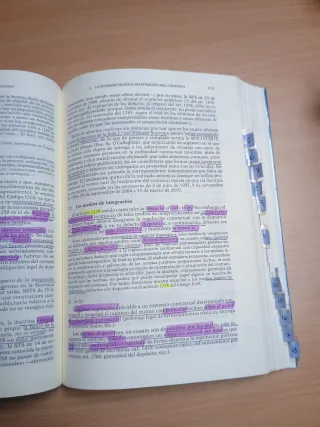 Principios de Derecho Civil. Tomo III: Tomo III...