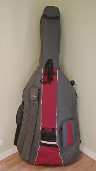 Contrabajo con funda