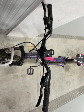 Bicicleta Morada B-PRO