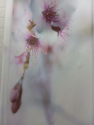 Estor translúcido 120x150 cm BLINDECOR