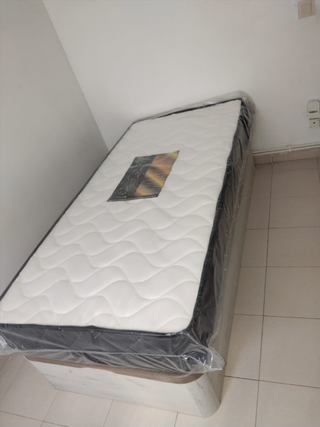 Canapes Canapes Canapes Canapes Canapes