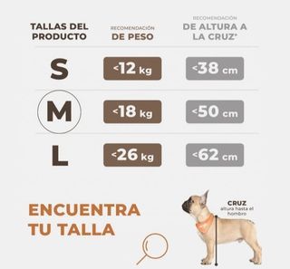 Asiento de Coche para Perro Extra Estable