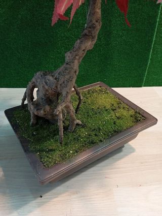 Árbol Leaf Hoja 50cm Artificial