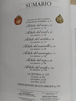 libro "Punto de Cruz al hilo del color"