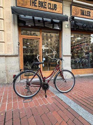 Bicicleta de paseo WHEELER