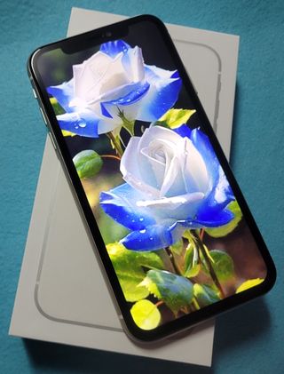 iPhone 11 64GB Blanco