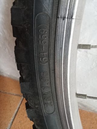 Ruedas de Bicicleta (Juego de 2)