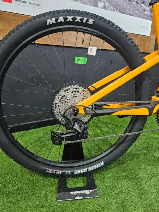Cannondale Scalpel SE Custom