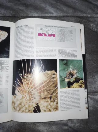 Il grande libro degli animali - volume 3 (ultimo)