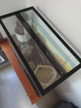 Terrario de cristal con tapa