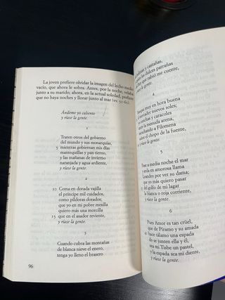 Antología poética del Siglo de Oro: Edición a c...