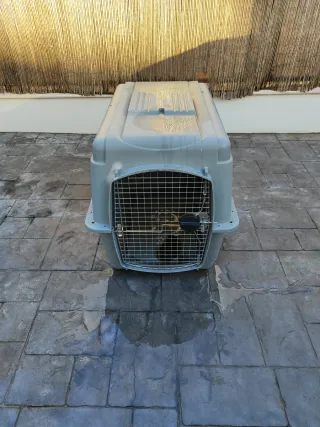 Transportín perro gris