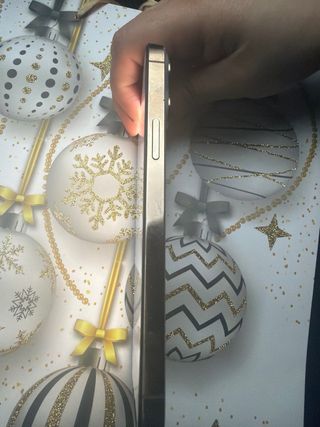 iPhone 13 Pro Max 256GB Batería 100%