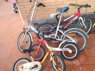 Lote de Bicicletas Infantiles y Adulto