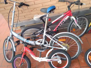 Lote de Bicicletas Infantiles y Adulto