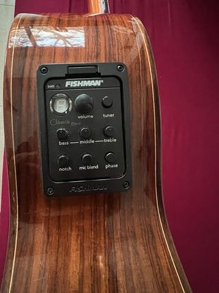 Guitarra Camps Cut 600 C