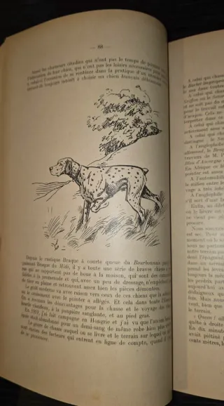 1909, Perros de Caza - Libro antiguo encuadernado
