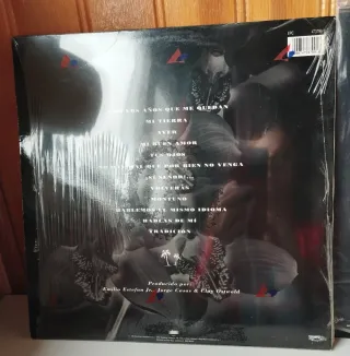 Vinili Gloria Estefan Mi Tierra y Éxitos