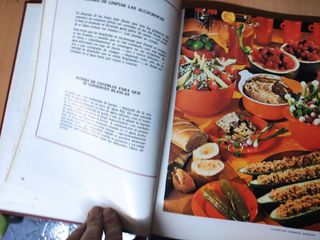 El libro de oro de la cocina española. Completa 8