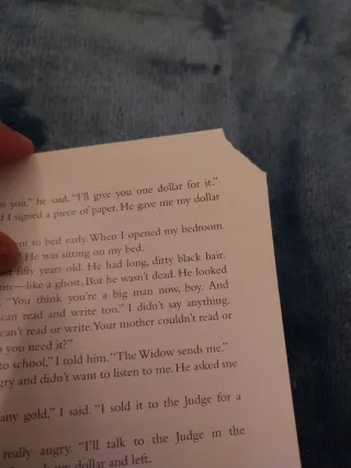 The Adventures of Huckleberry Finn