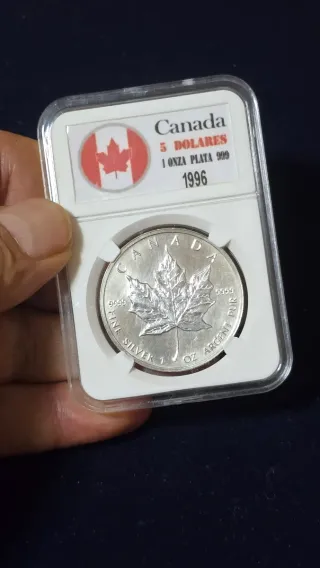 Onza Plata Canadá 1996 5 Dólares Hoja Arce