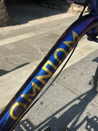 Bicicleta Cargo Omnium Mini-Max V3 Talla S