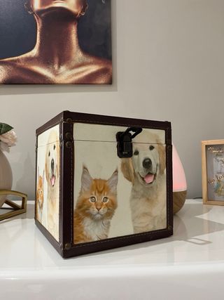 Caixa Estampada Cão e Gato