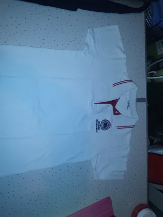 Polo Colegio Los Nogales Talla 10