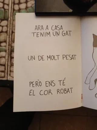 Ara a casa tenim un gat