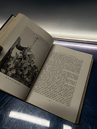 libro, LA PODA DEL VIÑEDO POR EL SISTEMA PALOMAR. RAMÓN PALOMAR GONZÁLEZ.