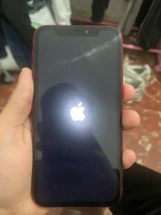iPhone XR Rojo