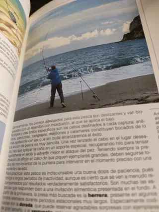 El Gran Libro De LA Pesca (Spanish Edition)