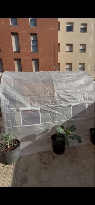 Invernadero de jardín blanco