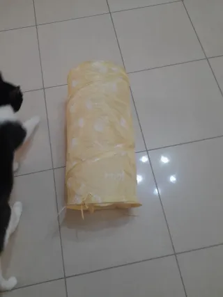 Tunnel per gatti in tessuto