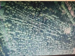 Finca Rústica Leobalde Meixome