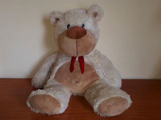 Peluche Oso Busca Una Adopción
