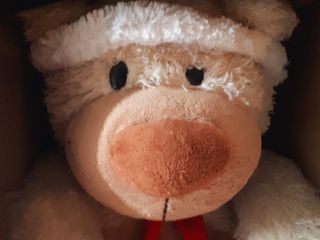 Peluche Oso Busca Una Adopción