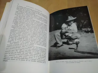 La llamada del tigre