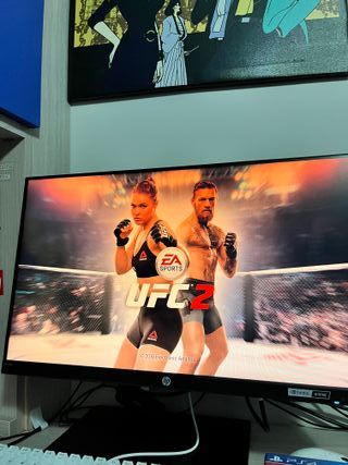 UFC 2 PS4 - Edizione Italiana