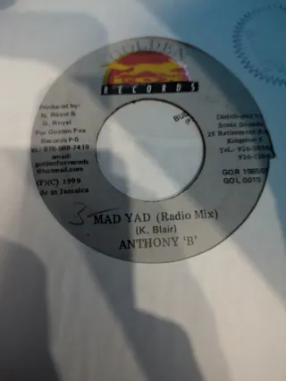 Vinili Reggae Anni 2004 45 Giri