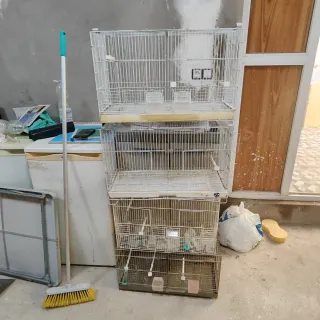 Jaulas para pájaros de 60 cm 50€ las 3