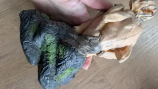 Set coleccionista El Señor de los Anillos