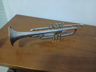 Trompeta plateada