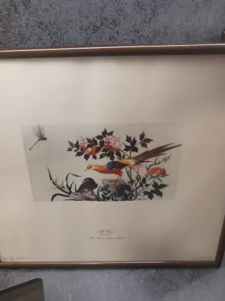 Litografía de aves y flores
