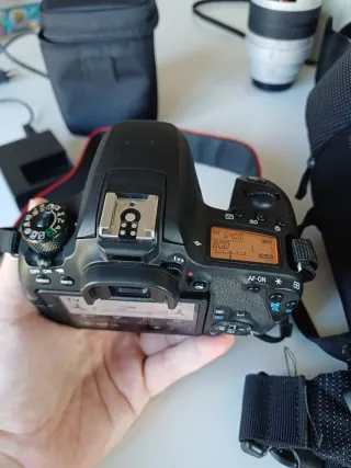 Cámara Canon EOS 77D + Sigma 15-50 mm 2.8