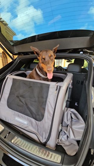 Transportín Perro Porsche Maletero
