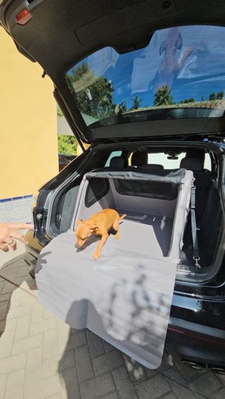 Transportín Perro Porsche Maletero